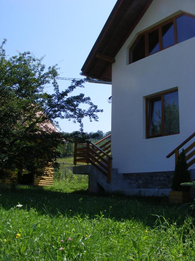 Casa Lacul Mierlei Hotel Sovata Buitenkant foto