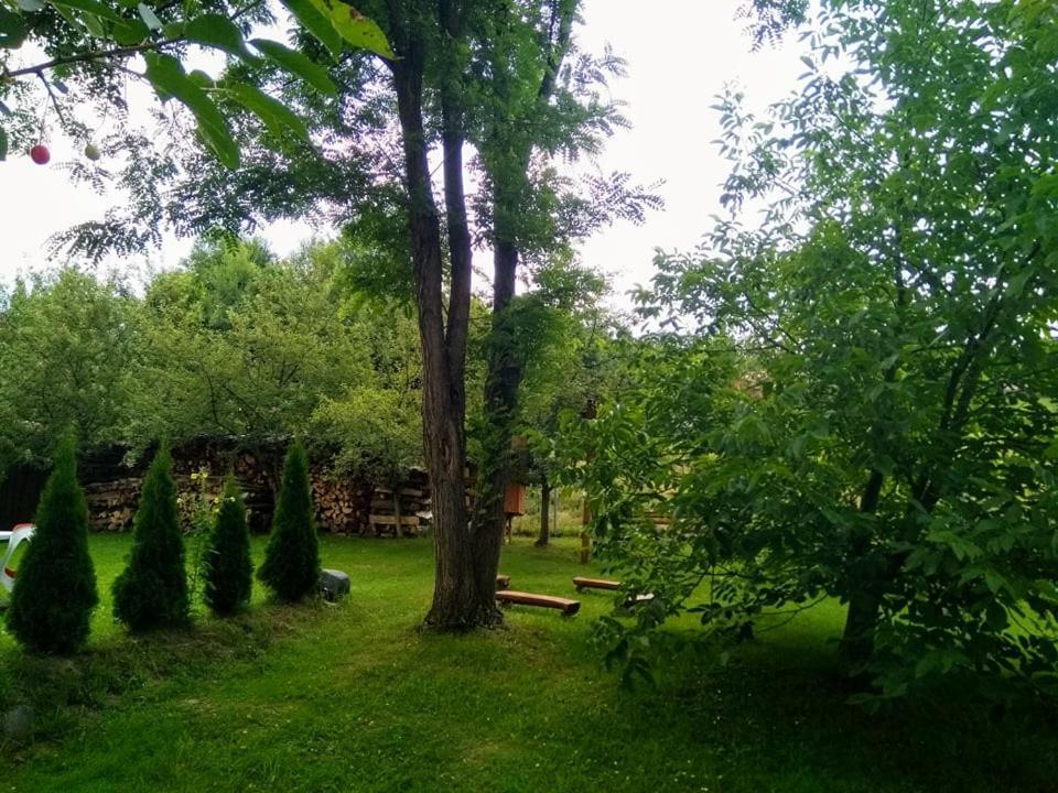 Casa Lacul Mierlei Hotel Sovata Buitenkant foto