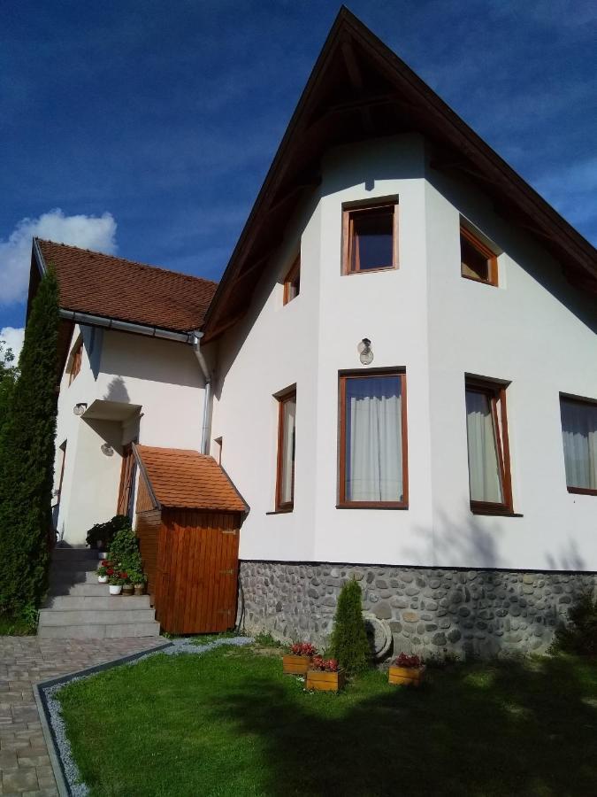 Casa Lacul Mierlei Hotel Sovata Buitenkant foto